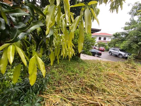 list of subdivision in quezon city|Exclusive Subdivision In Quezon City .